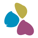Camaleo Web Intelligence Logo