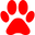 Catapulta Media logo