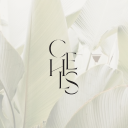Chels Design Studio Logo