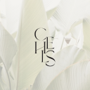 Chels Design Studio logo