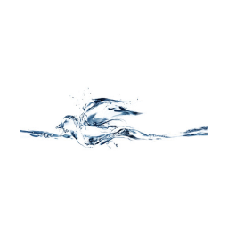 ClearBird Technology Logo