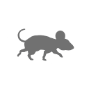 Cloudy Mouse Logo