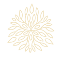 Clover Social Media logo
