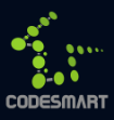 CodeSmart LLC Logo