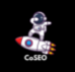 COSEO logo