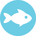 Curious Fish Websites (Aylesbury) Logo