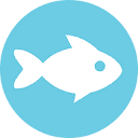 Curious Fish Websites (Aylesbury) logo