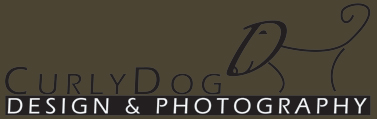 CurlyDog Design and Photography Logo
