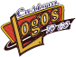 Custom Logos To Go logo