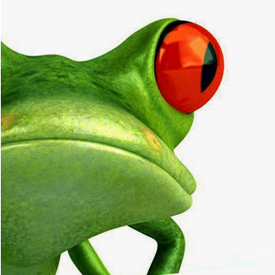 Cyberfrog Design Logo