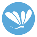 Dailyfly Productions Logo