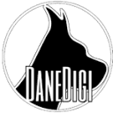 Dane Digi Logo