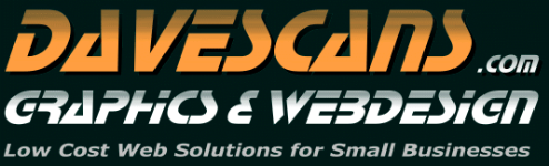 DaveScans logo