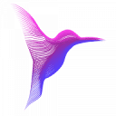 DC Digital Design Logo