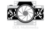 ddl multimedia Logo