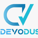 Devodus LLC web design logo