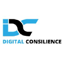 Digital Consilience Logo