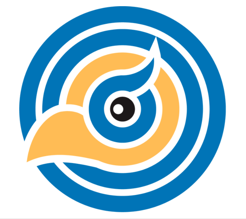 Digital Eagles Logo