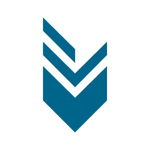 Digital Function logo