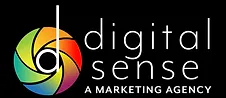 Digital Sense Logo