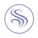 Digital Soulutions Logo