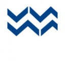 Digital Surf Logo