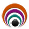 Dizyn.Net Logo
