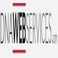 DNA Web Services logo