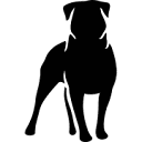 Dominant Digital Agency LLC logo