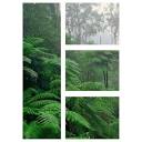East Gippsland Design Logo