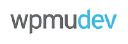 Elevate99 Logo