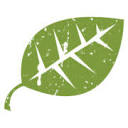 Elmnet logo