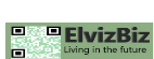 ElvizBiz LLC Logo