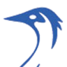 Emu Web Marketing logo