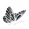 Energy and Artistry, LLC logo