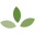 Evolution Design House logo