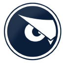 Eye on Advertising Solutions logo