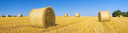 Farmgear Limited Logo