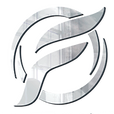 Flyest Images Logo