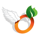 Flying Orange Logo