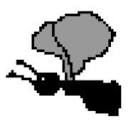 flymedia Logo