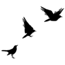 Four and Twenty Design logo