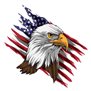 Freedom Web Designs logo