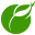 FreshJones Logo