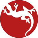 Gecko 55 Ltd Logo