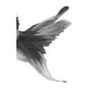 Goldfish Design logo