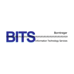 Borntreger Information Technology Services Logo
