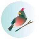 Green Cardinal Design Logo