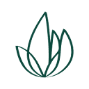 Greener Studio Logo