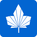 N49 Guelph Web Design Logo